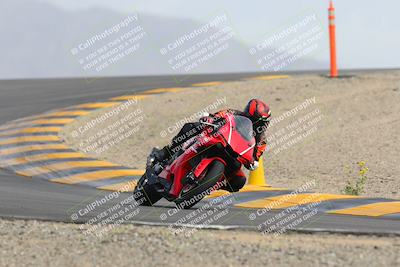 media/Mar-11-2023-SoCal Trackdays (Sat) [[bae20d96b2]]/Turn 12 (125pm)/